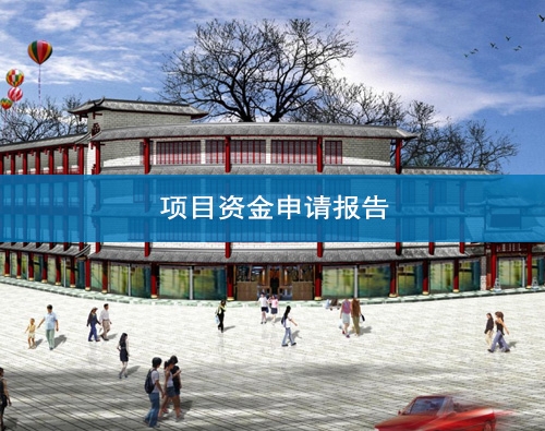 慶陽項目資金申請報告